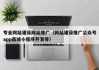 专业网站建设网站推广（网站建设推广公众号app商城小程序开发等）