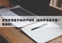 软件开发属于知识产权吗（软件开发属于哪一类商标）