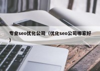 专业seo优化公司（优化seo公司哪家好）